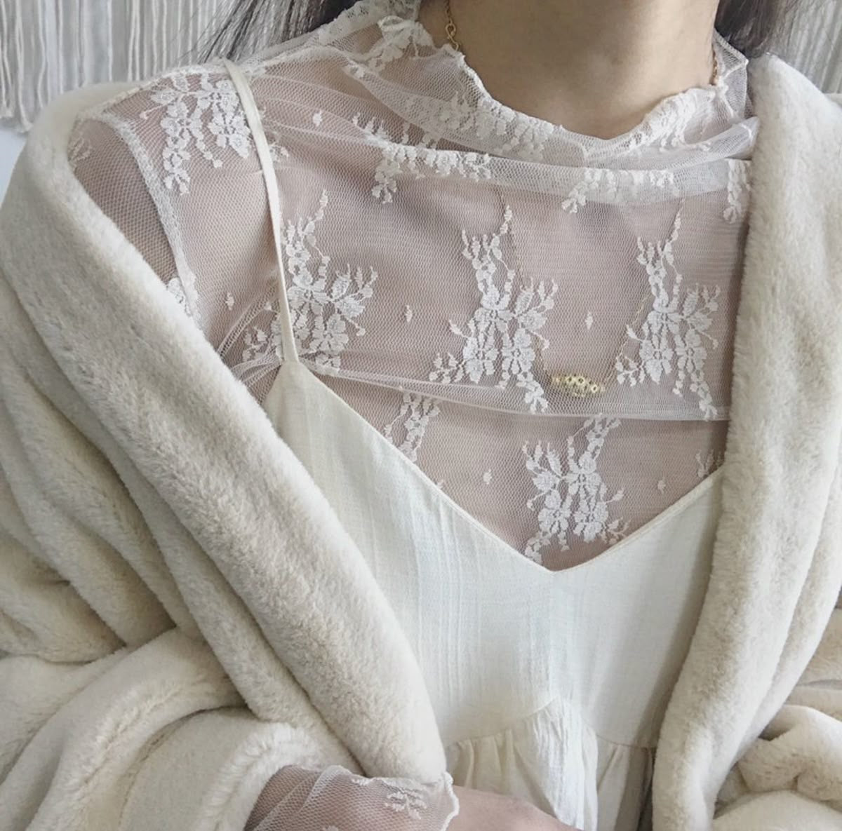 Sheer Lace Top
